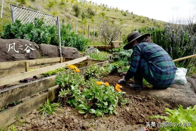 十几年的夫妻感悟,十年的老华人含泪感悟