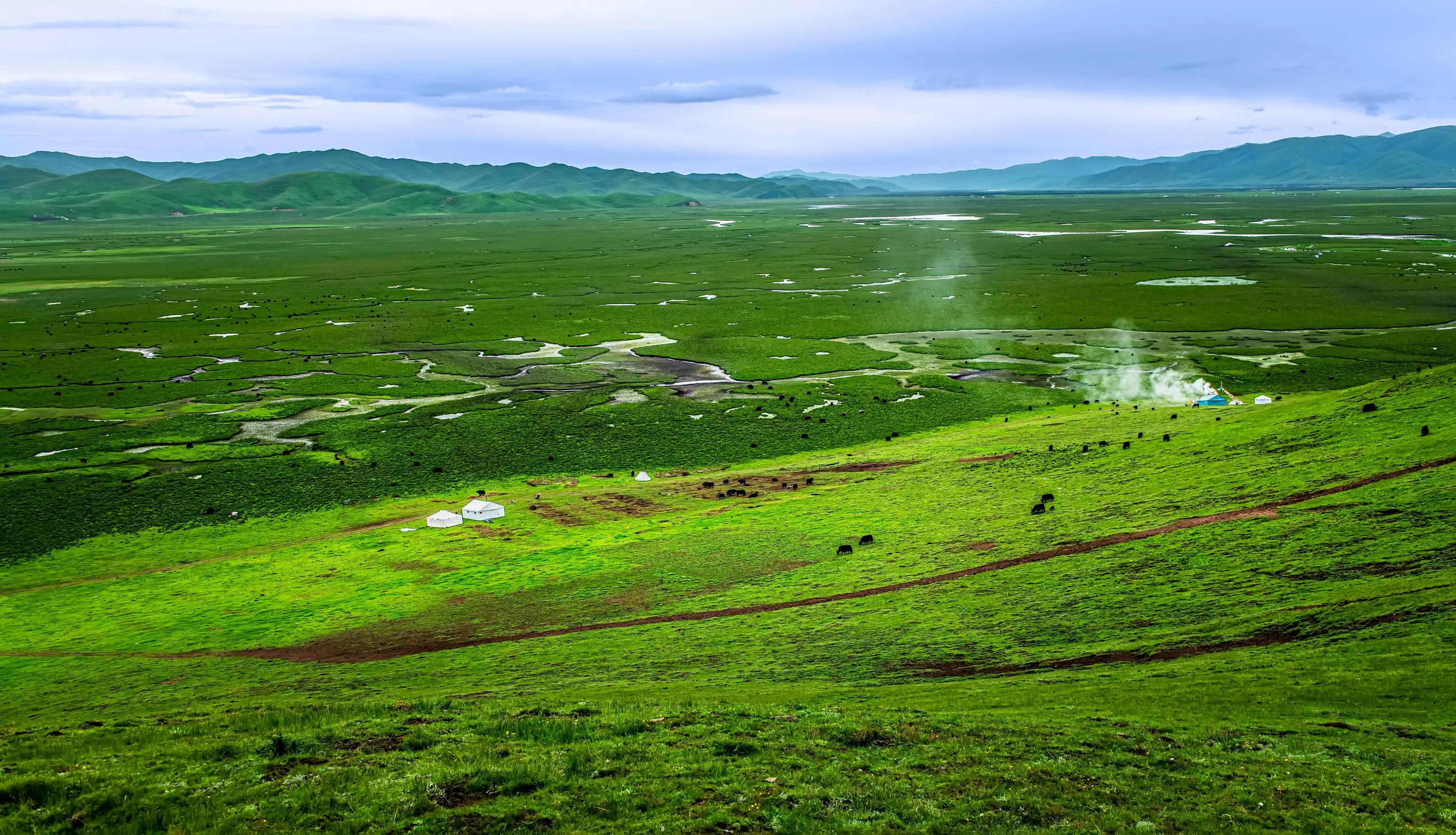 川西甘南十五日环线自驾游,甘南川西环游系列之四