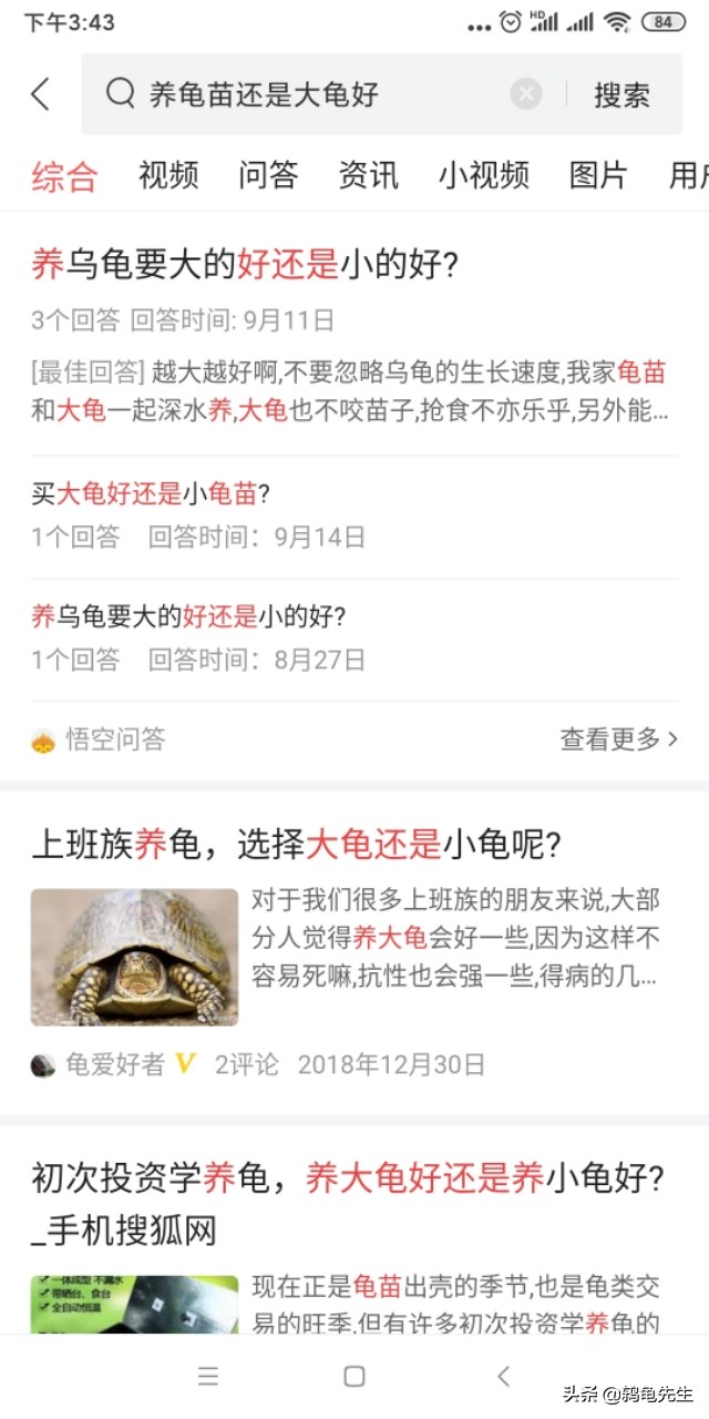 龟苗要养多久才能养成大龟,乌龟苗和大乌龟哪个好养