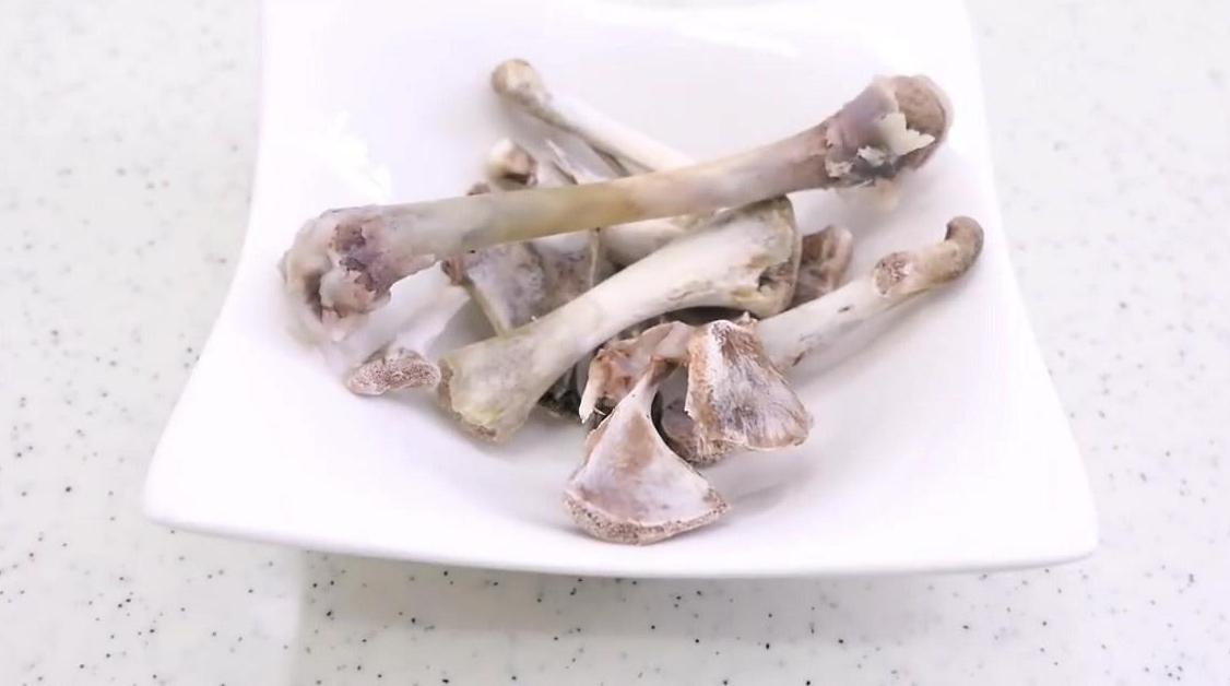 如何喂博美,博美犬正确喂食方法