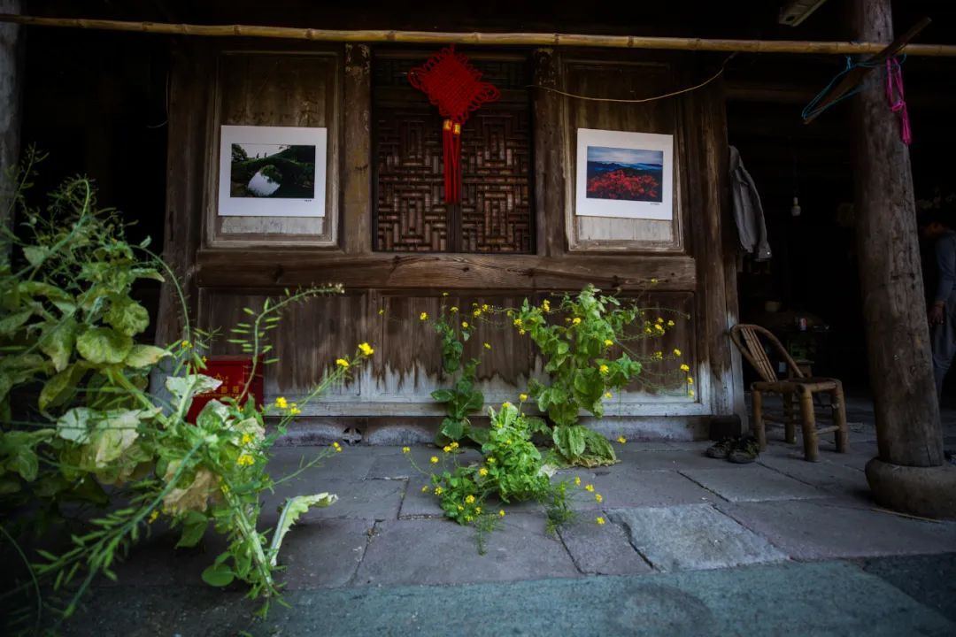 宁波最好的一个古村,宁波第一千年古村