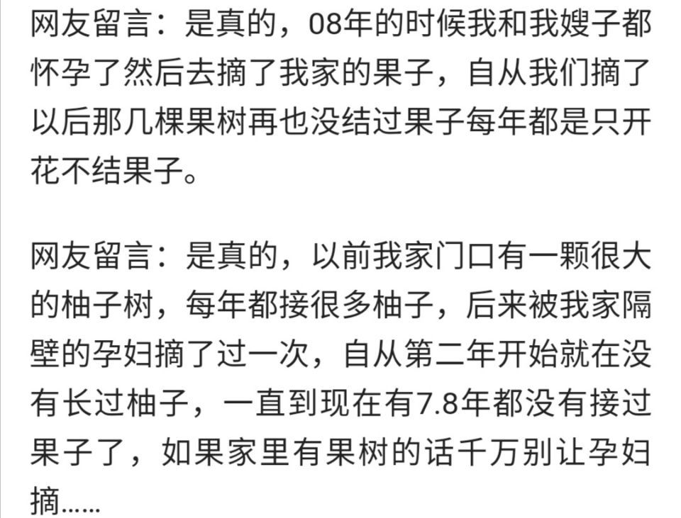 为什么孕妇不能摘树上的果实,孕妇摘过的果树有什么说法