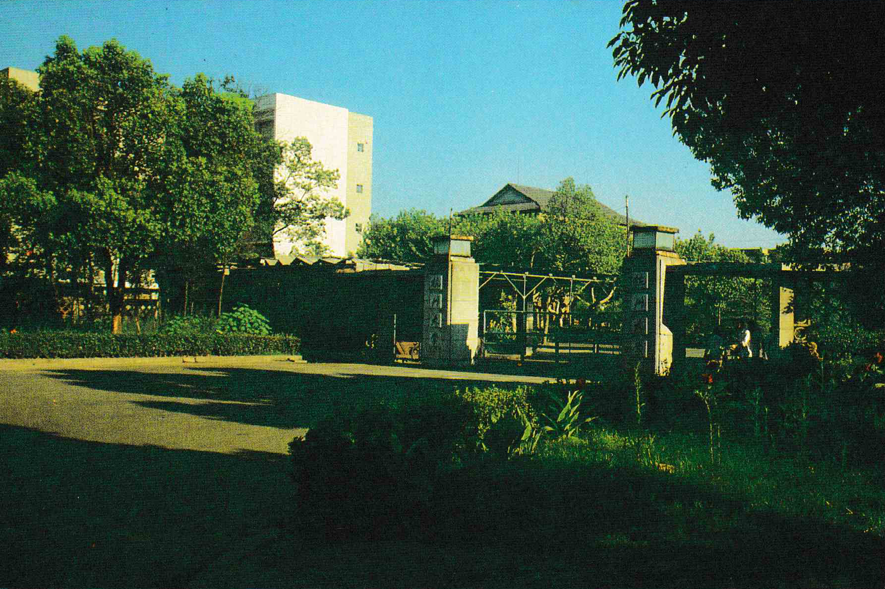 浙江大学明信片怎么写,浙江大学介绍明信片