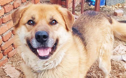 干净的冬天必定是个脏年,干净的冬天必定是脏年是什么意思