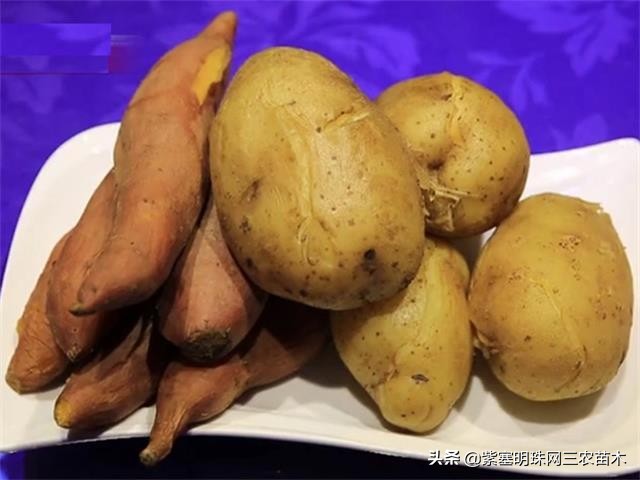 承德德润祥家庭农场,承德市德润祥家庭农场