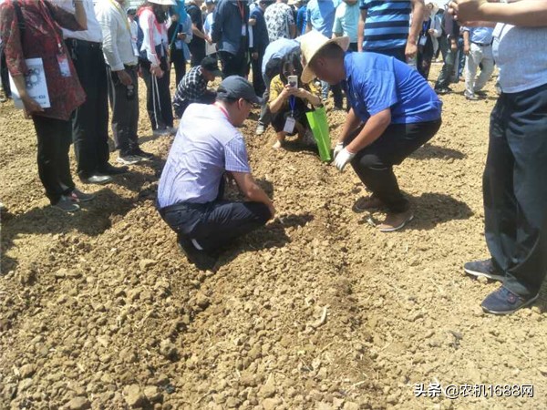 东泰花生联合收割机自走式,东泰机械花生收获机厂家