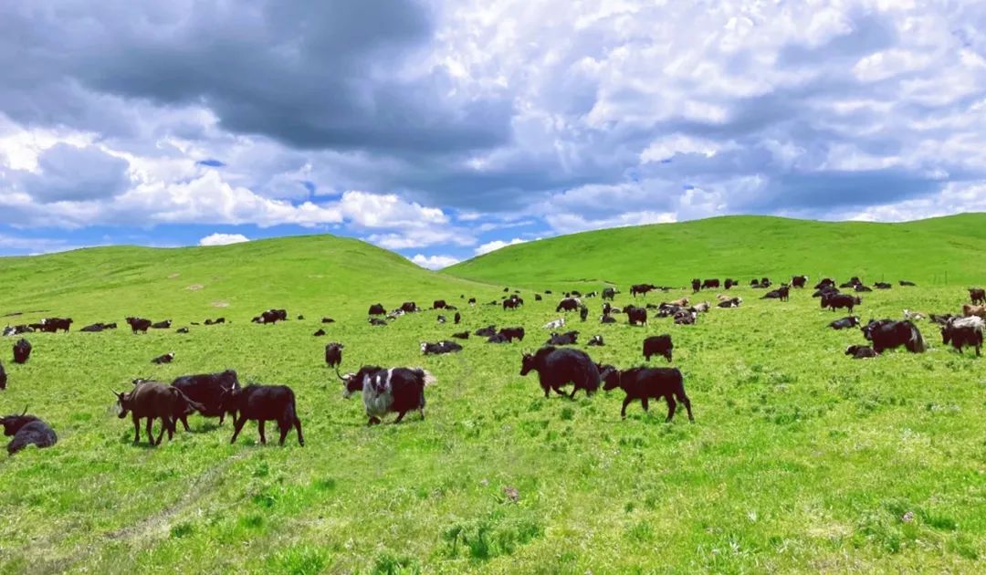 阿坝州不为人知的秘境,阿坝州的世外桃源村落