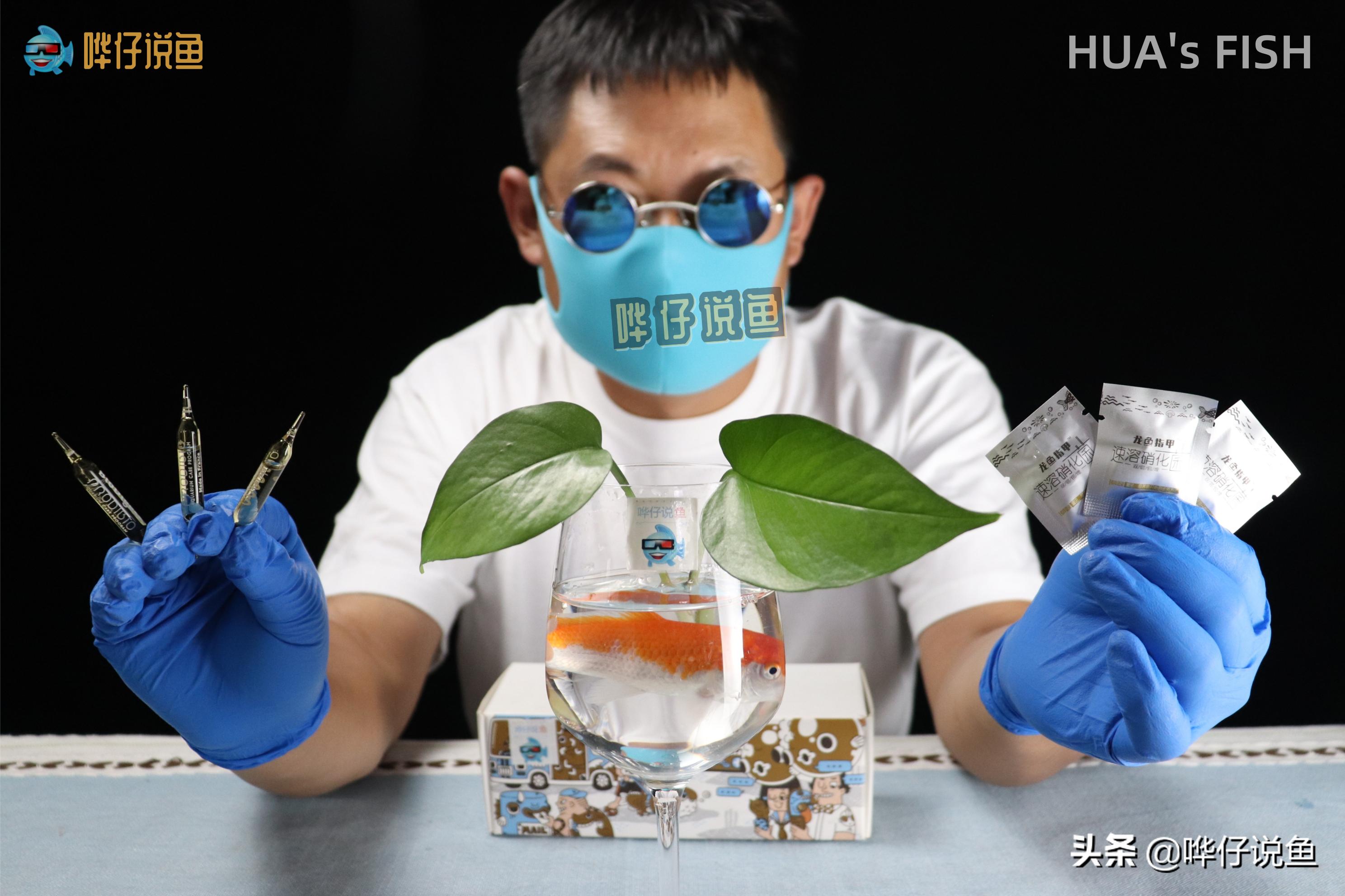 为什么都说硝化细菌是智商税,鱼缸过滤硝化细菌解释图