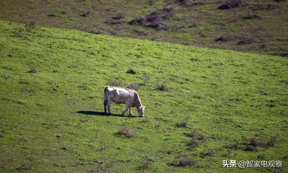 三菱电机空调造假被曝光，问题或持续30年未改