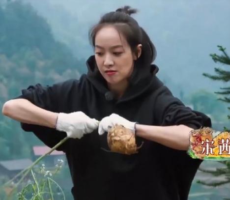 向往的生活劈柴宋茜彭昱畅,宋茜向往的生活3