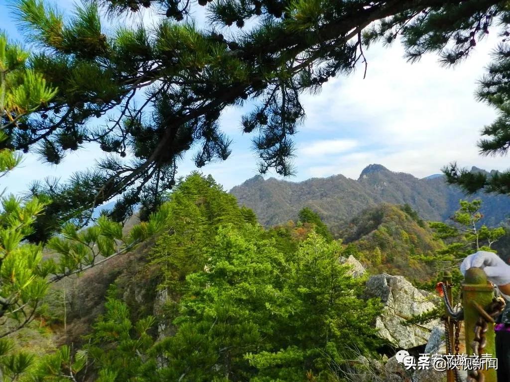 好消息！西安旅游景区向全国医务工作者全年免费开放！包括兵马俑、华清宫、大雁塔、西安城墙等5*级A**景区……