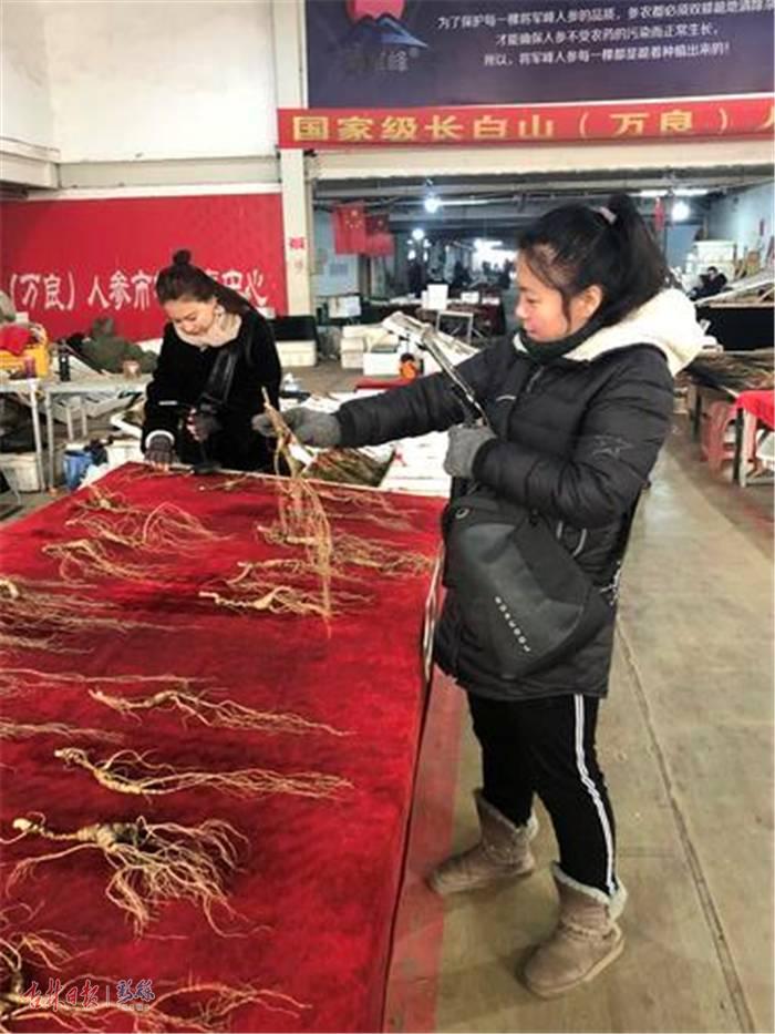 长白山人参特产直播卖货,长白山特产直播平台