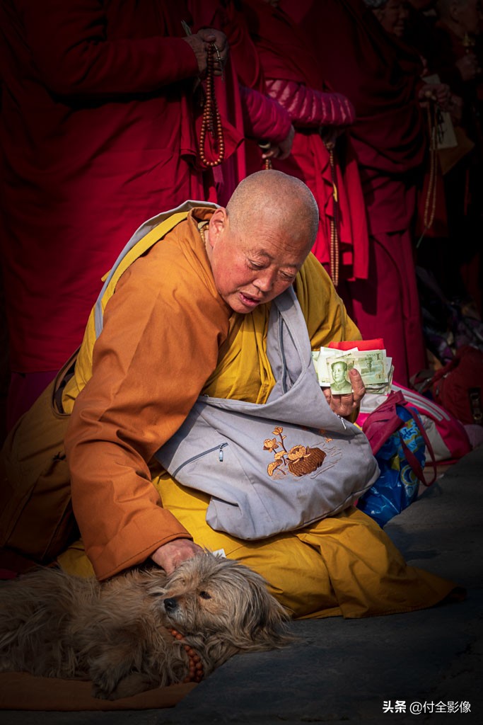 五台山白塔寺后面有什么寺,五台山白塔寺要门票吗