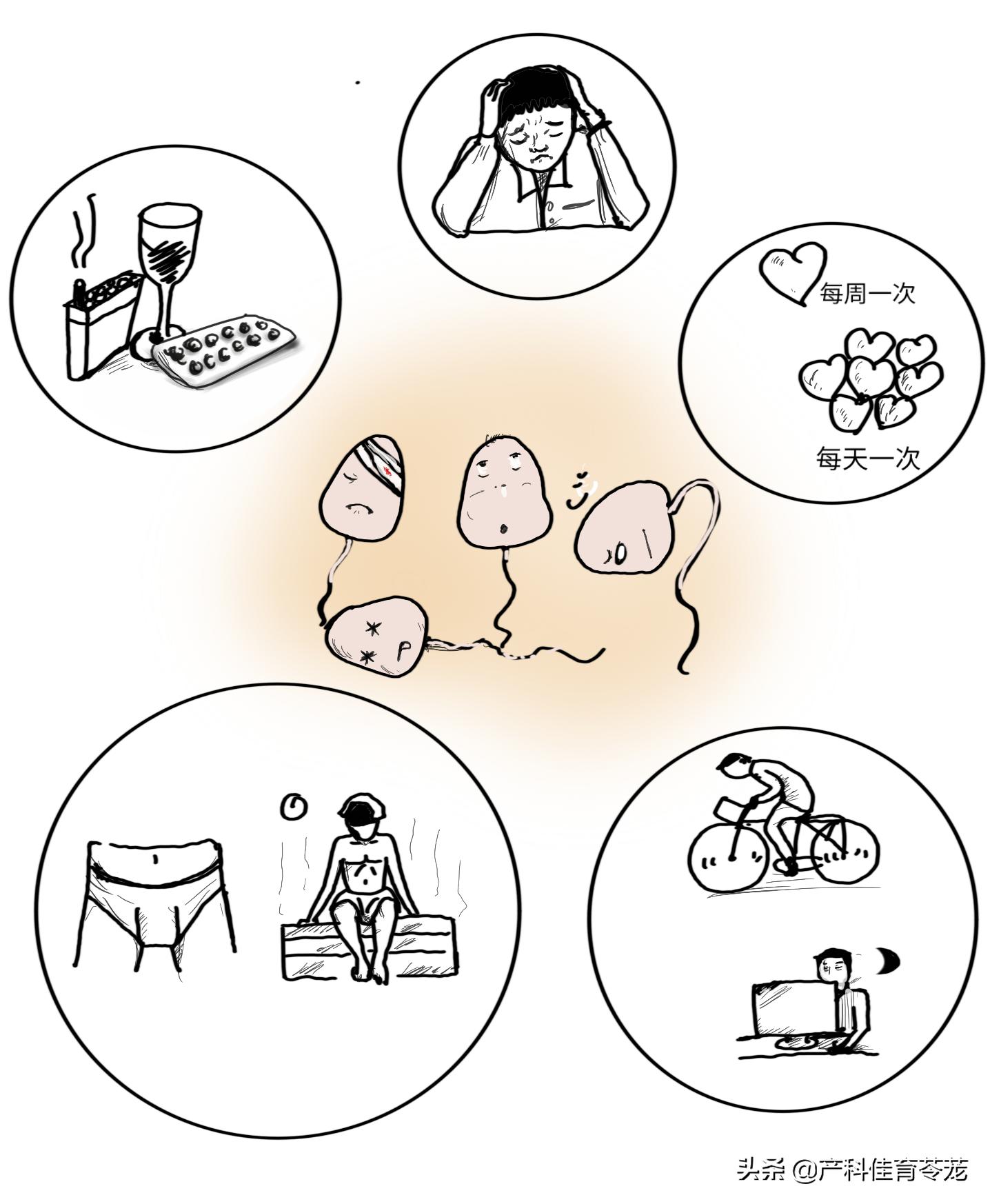 男人备孕更重要,科学备孕最好的方法