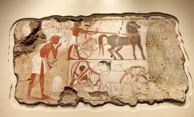 墙体壁画艺术,墙绘壁画视觉艺术