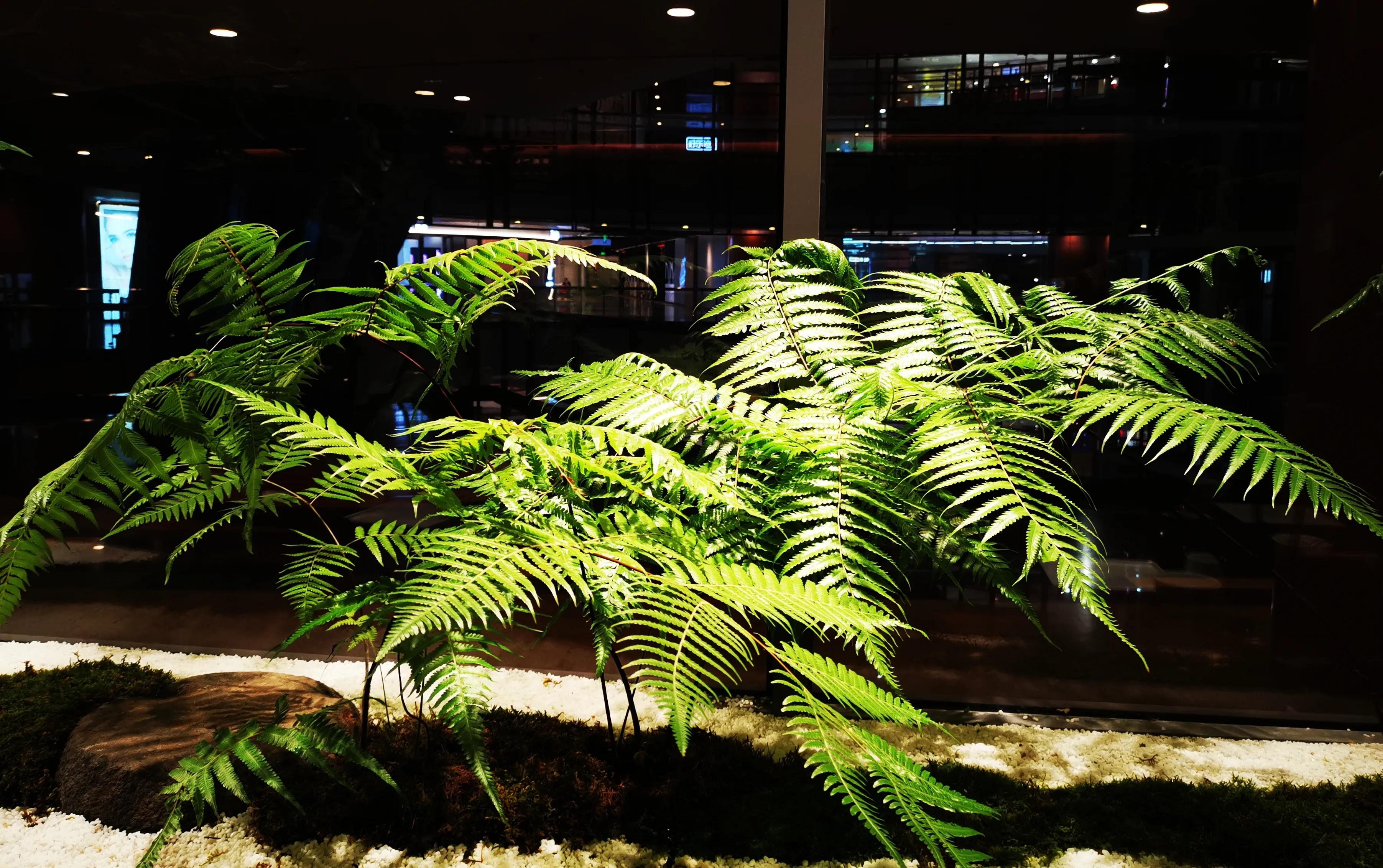 上海浦东正大广场晚餐推荐,陆家嘴正大广场美食6楼