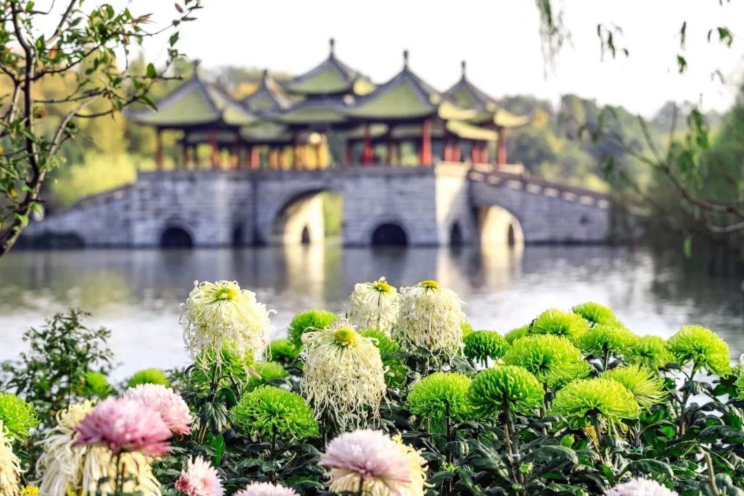 被严重低估的江苏成绩,扬州被严重低估的城市