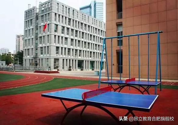合肥有名小学排行榜,合肥长江路第二小学是什么档次