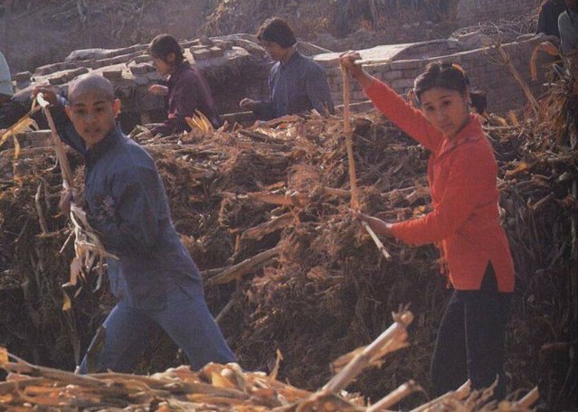 1982年，李连杰拍《少林寺》的幕后花絮，一毛票价，票房达一亿