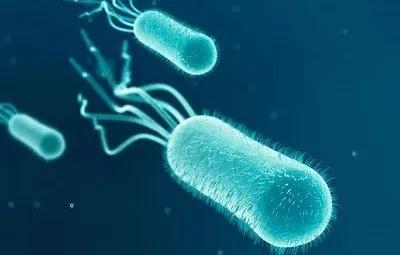 pct偏高会有什么危害,感染性休克为什么pct升高