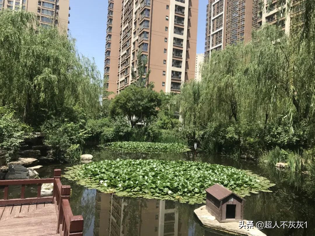 石家庄阿尔卡迪亚荣景园划片,石家庄阿尔卡迪亚荣景园学区
