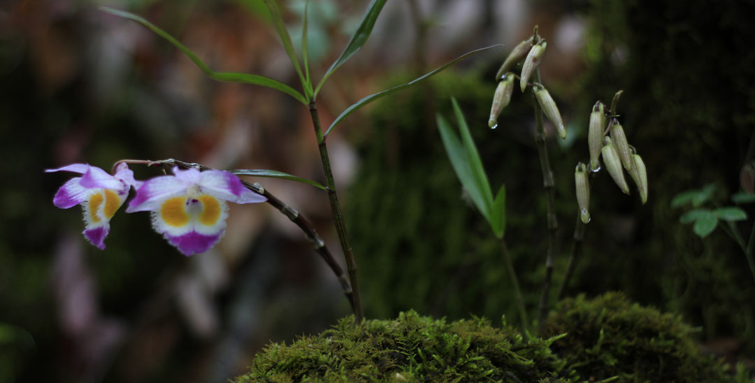 2021浜戝崡鍗佸ぇ鍚嶅搧,浜戝崡鍗佸ぇ鍚嶅搧