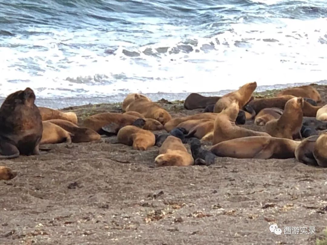 史上最牛沪C开到了世界尽头