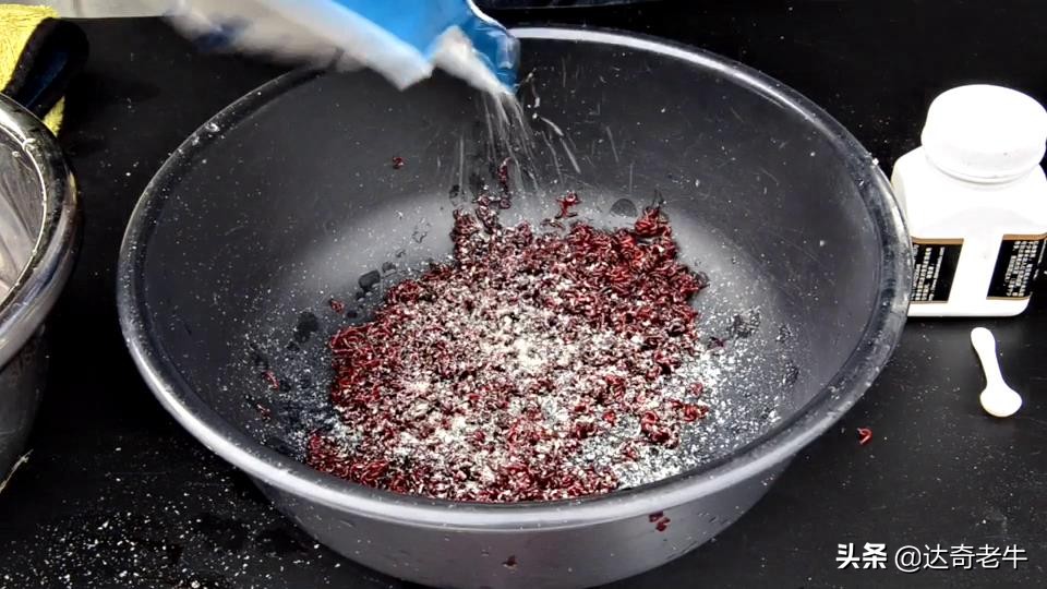 简单的红虫上饵,红虫伴侣怎样开饵