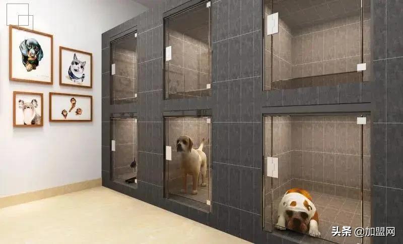 精品加盟店最火爆的项目,开一家精品店创业项目