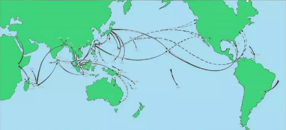 中国吃货都征服不了的非洲大蜗牛，它们是如何入侵中国的？