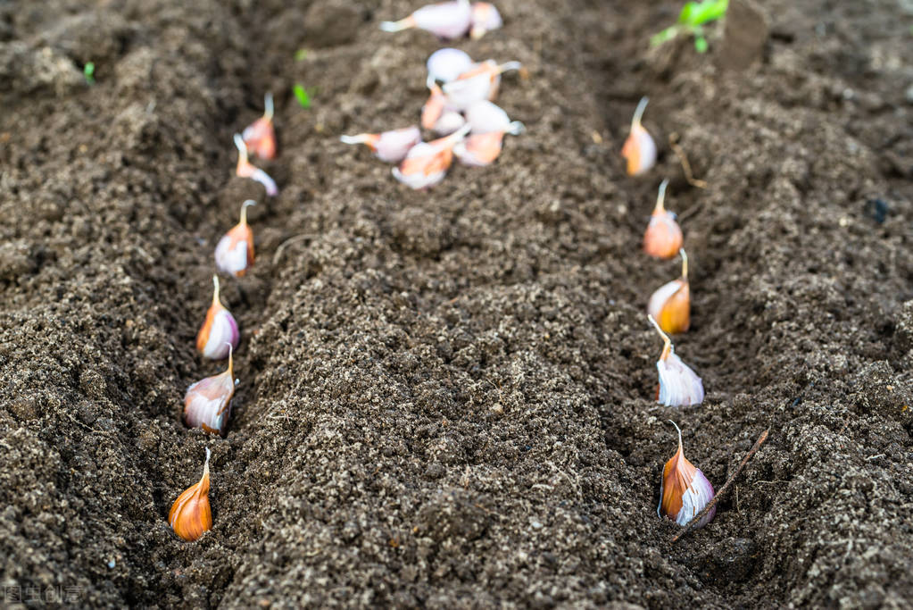 今年秋雨较多的地区有哪些,今年秋雨多是什么现象