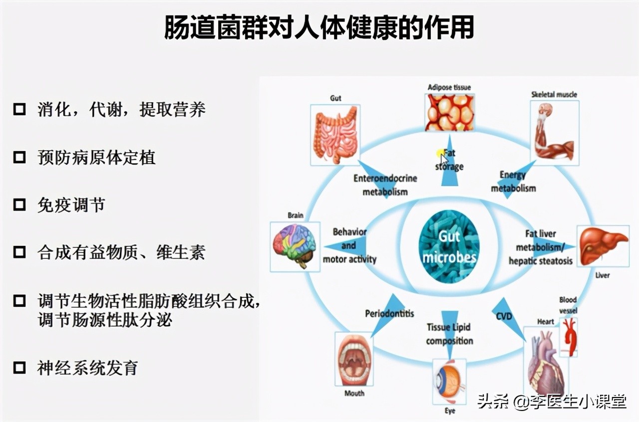 空腹血糖从13降到10以下,空腹血糖从8-9降到6-7