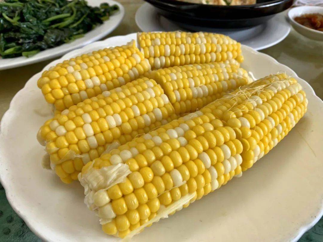 世界花卉大观园遛娃好去处,大观园遛娃攻略