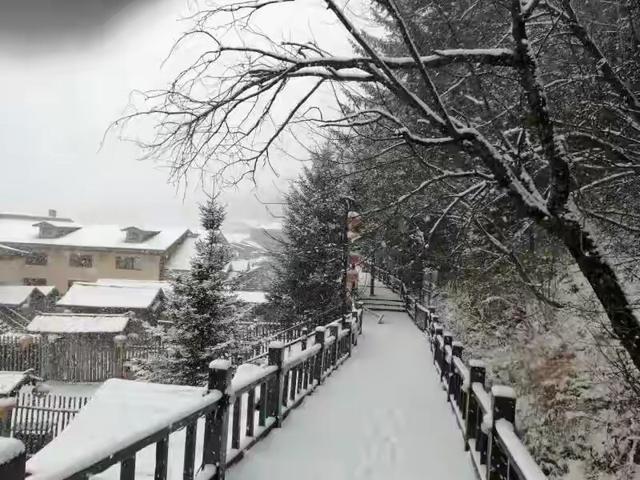 黑龙江省牡丹江市雪乡第一场大雪,雪乡迎来深秋第一场雪