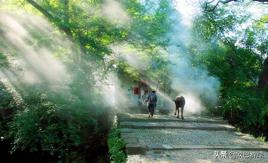 绍兴古道攻略一日游自由行,此生必去的三条国道