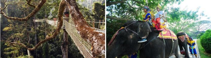 西双版纳原始森林门票,西双版纳所有景点门票一览表