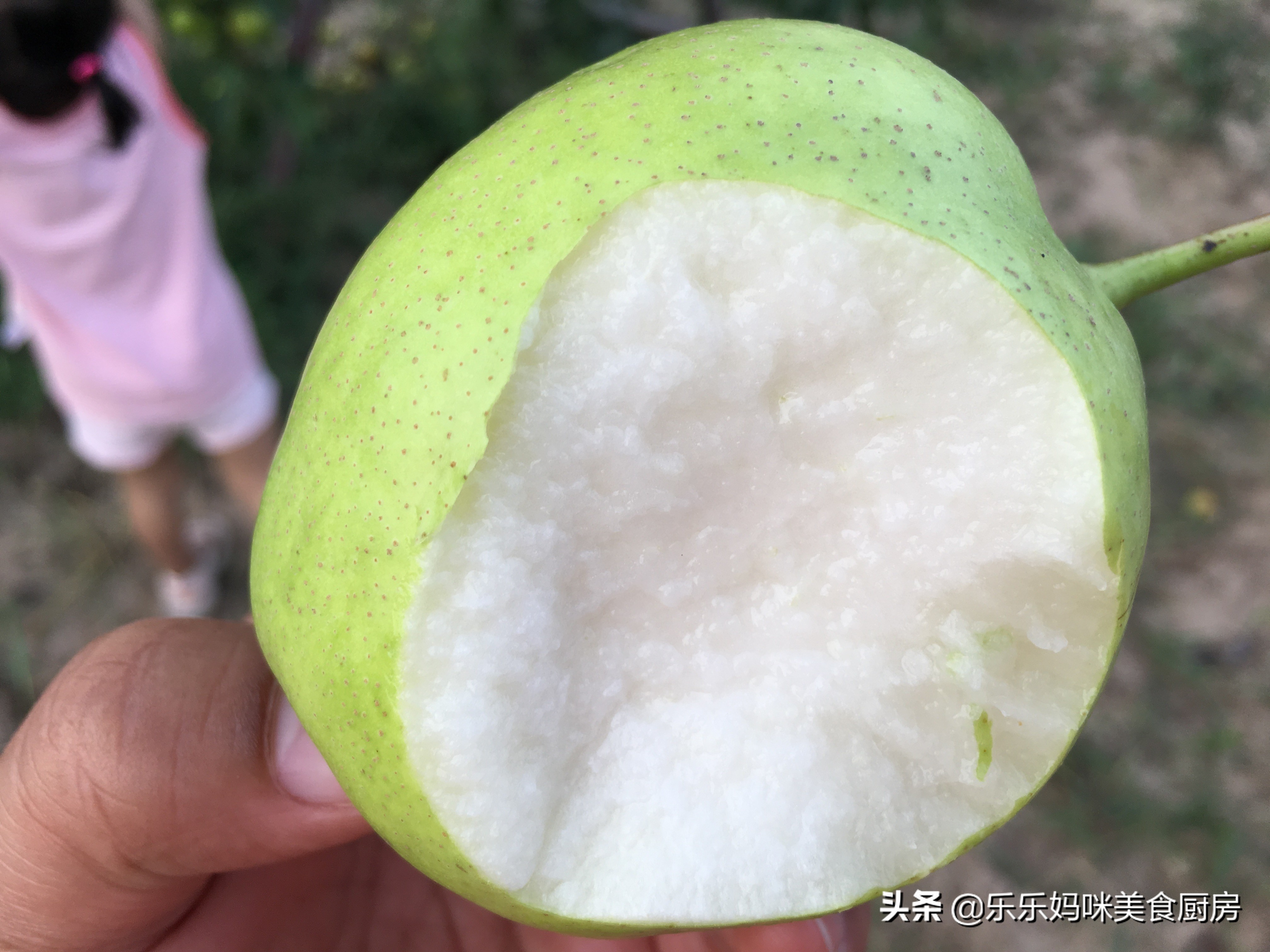 秋果吃多了会怎么样,常吃秋果有什么好处