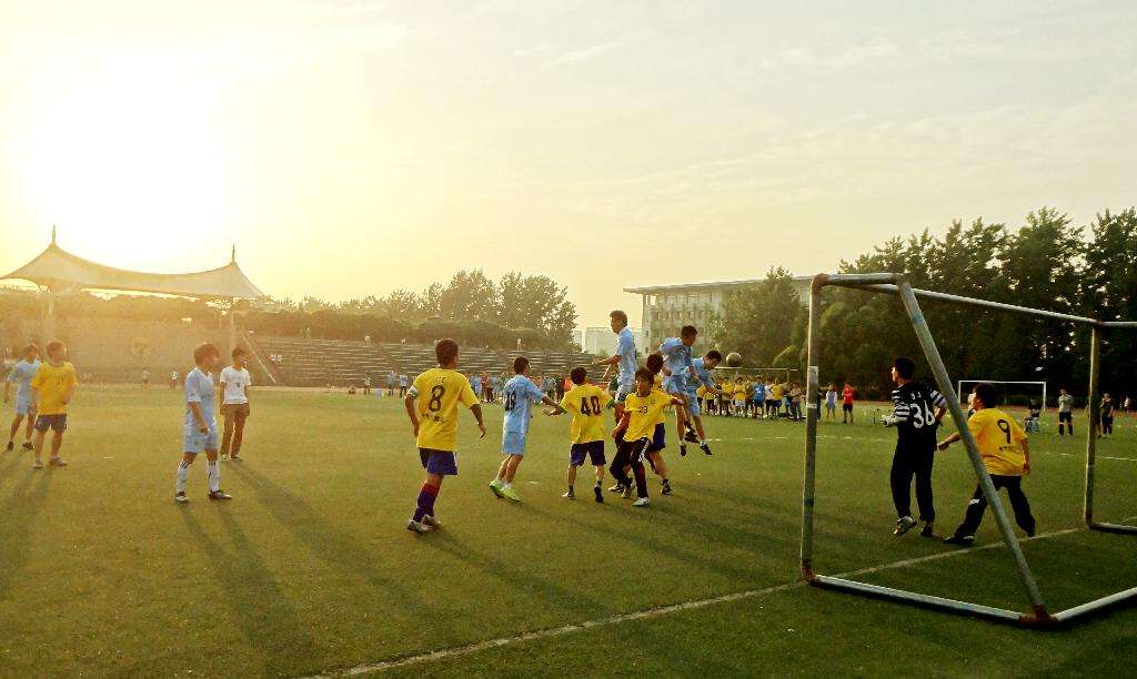 野球场基本常识,野球场要注意什么