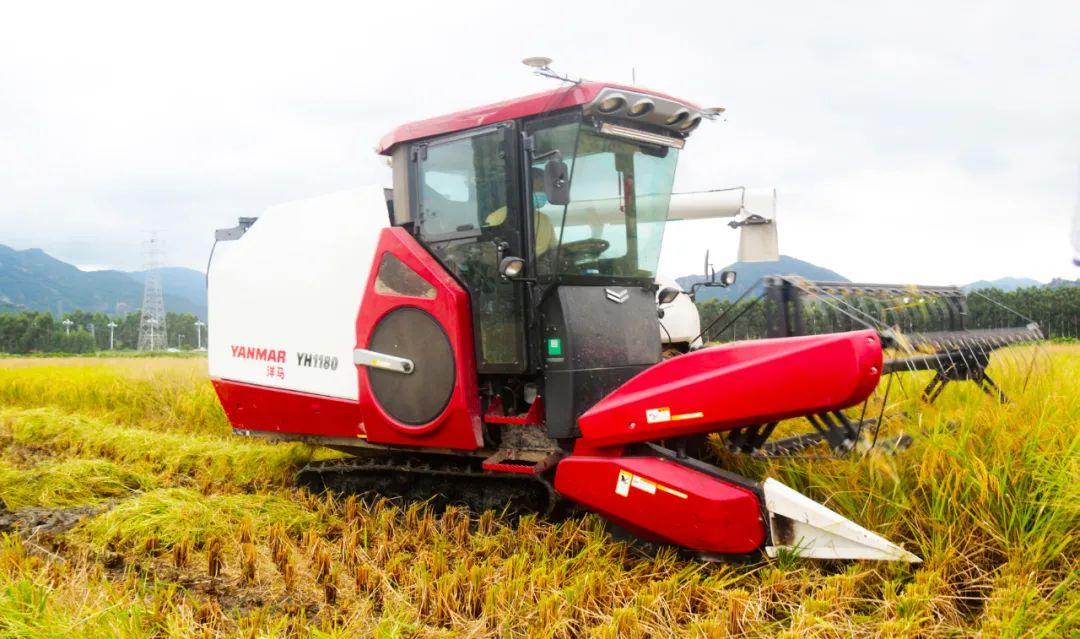喜迎丰收节！新型农业机械推广到福州长乐田间地头