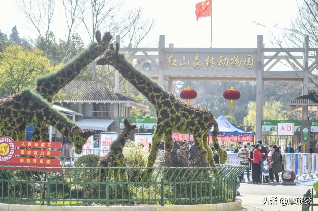 动物园发生了让人哭笑不得的事情,最孤独的动物园现状有很多游客吗