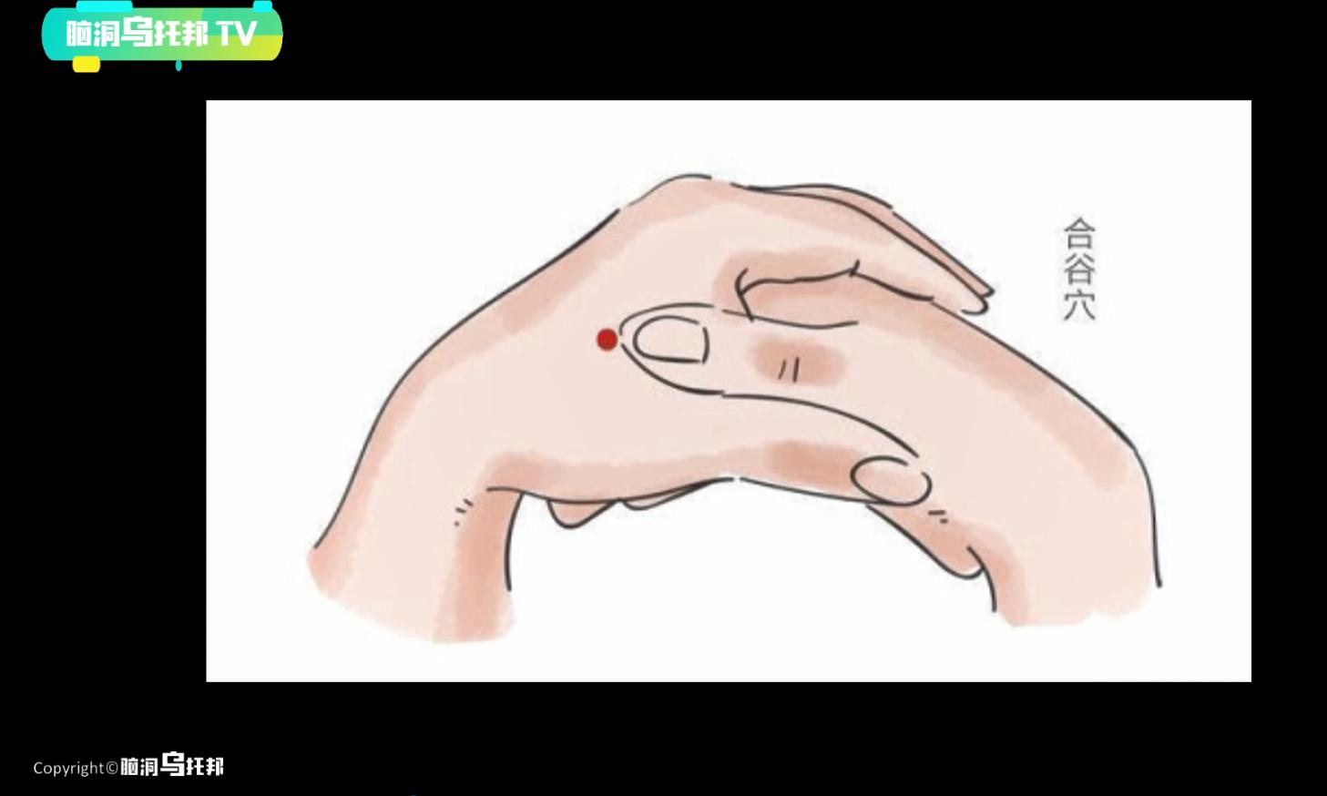 主宰人生死的隐藏器官,主宰生死的神秘器官