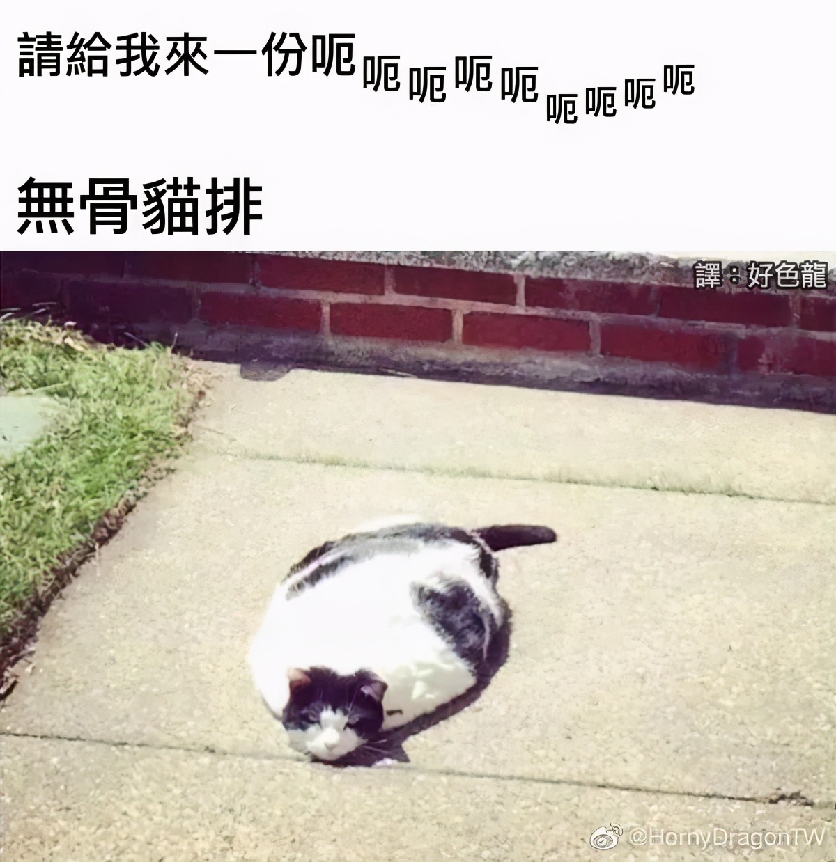 每日内涵囧图,每日囧图笑你一整天