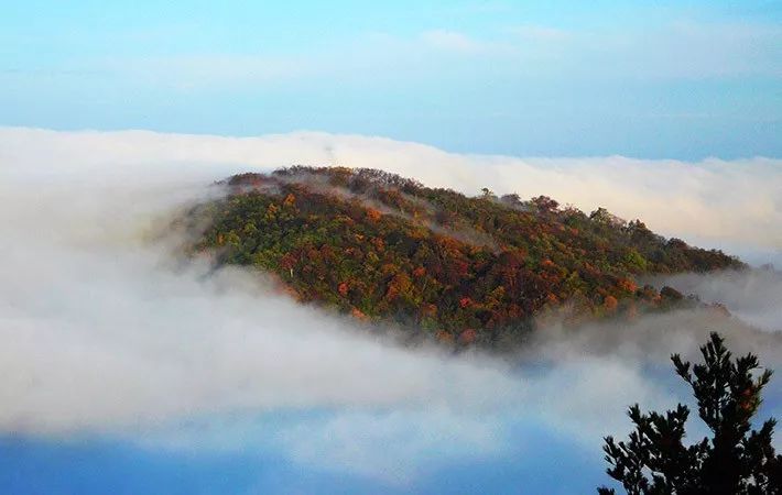2021秦岭鸡窝子分水岭红叶,秦岭红叶最佳自驾线
