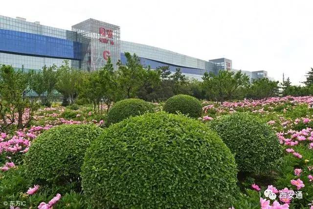 把西安华南城做成功,足以匹敌浙江义乌商城总部!西安经济崛起!