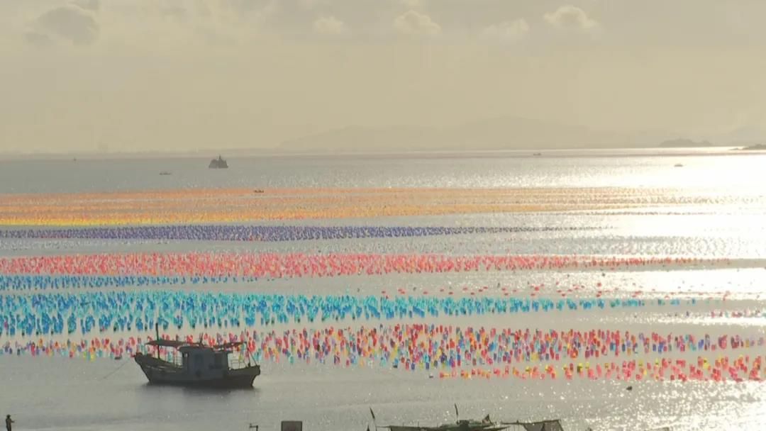 【丰收的喜悦】金秋宜吃蚝，这个地方生长的生蚝肉质嫩美可口！