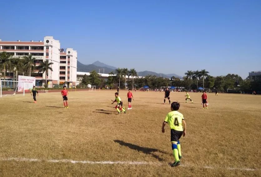 肇庆新区广东省青少年足球锦标赛,肇庆市市长杯女子足球初中组