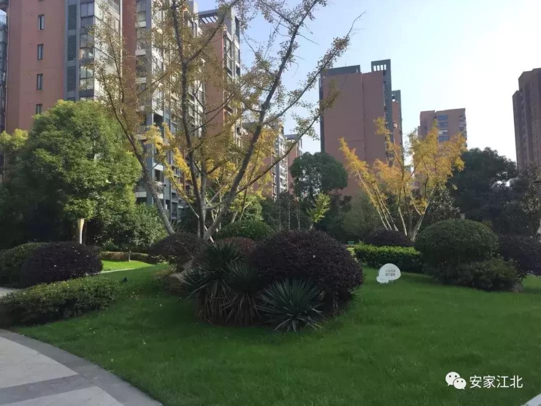 南京江北4号线新楼盘,南京地铁盘怎么样