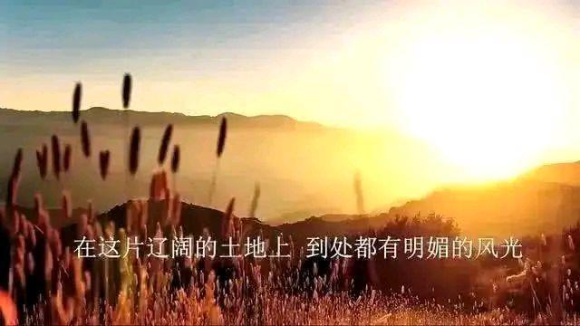 金山屯区和西林区,伊春金林区北国风光