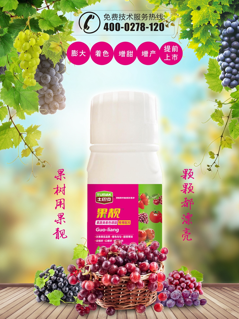 贡柑特点,贡柑的特点是什么