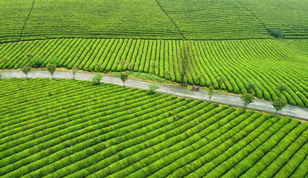 乡村旅游脱贫致富视频,贵州66个贫困县全部脱贫